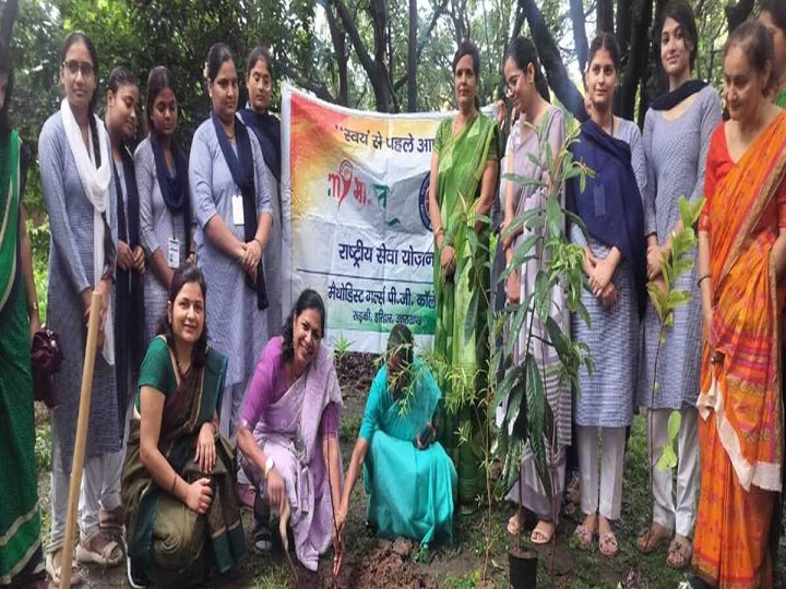 हरेला पर्व: परंपरा, प्रकृति और पर्यावरण का संगम