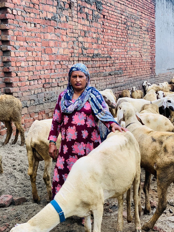 वित्तीय सहयोग से मनीषा ने खड़ा किया अपना व्यवसाय